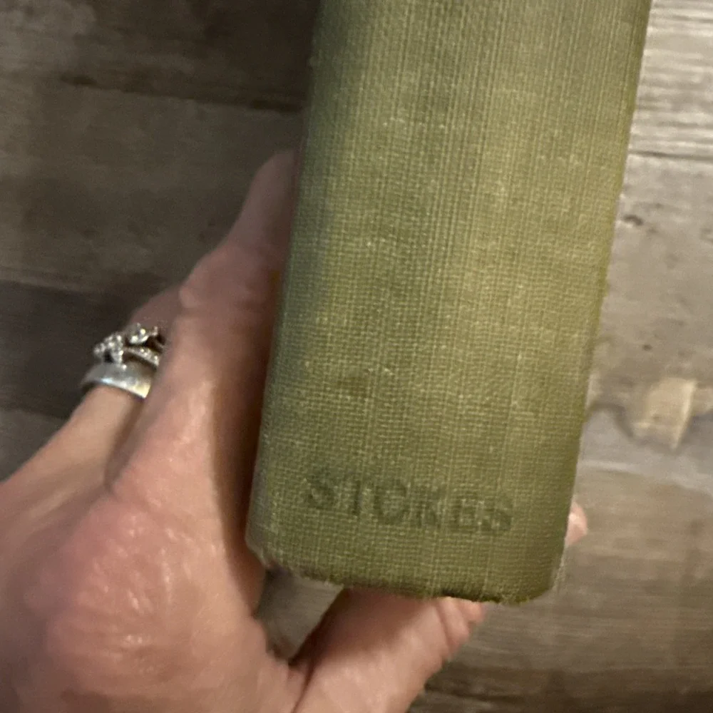 Frances Hodgson Burnett, Robin HC Vintage 1922 Pre Owned